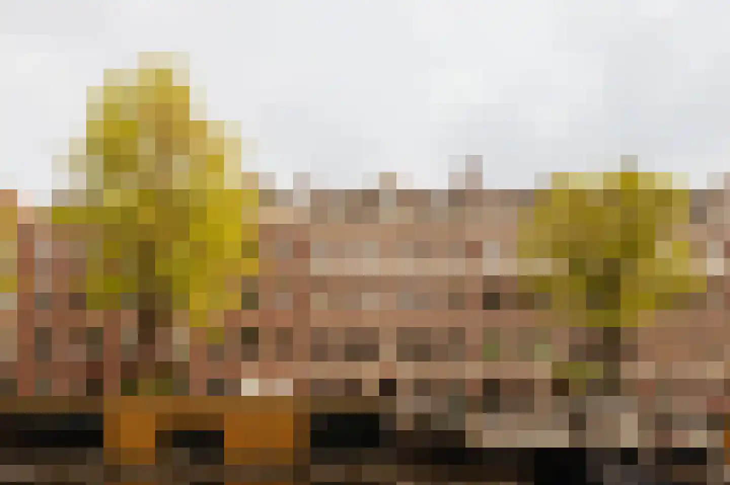 De Wittenkade 33 HL Amsterdam