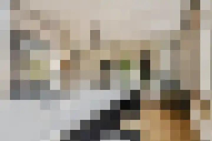 De Wittenkade 39 2V Amsterdam thumbnail 10