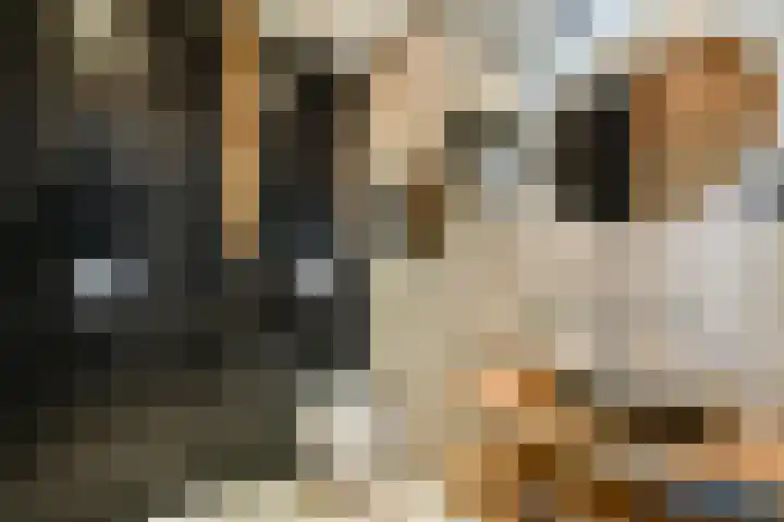 De Wittenkade 39 2V Amsterdam thumbnail 16