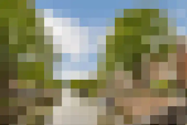 De Wittenkade 39 2V Amsterdam thumbnail 17