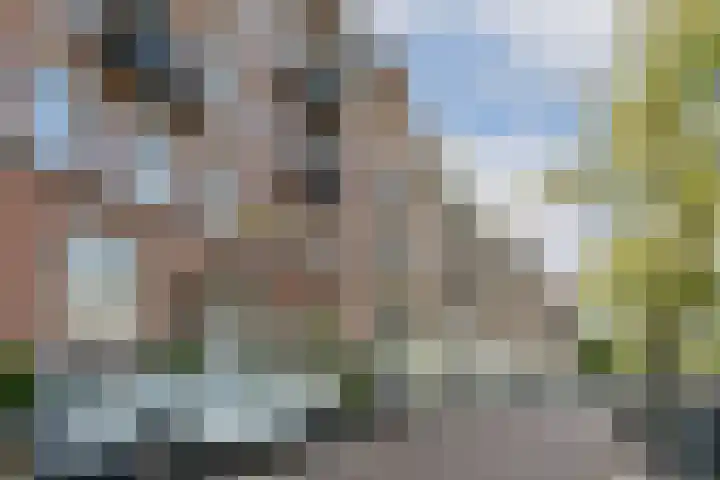 De Wittenkade 39 2V Amsterdam thumbnail 6