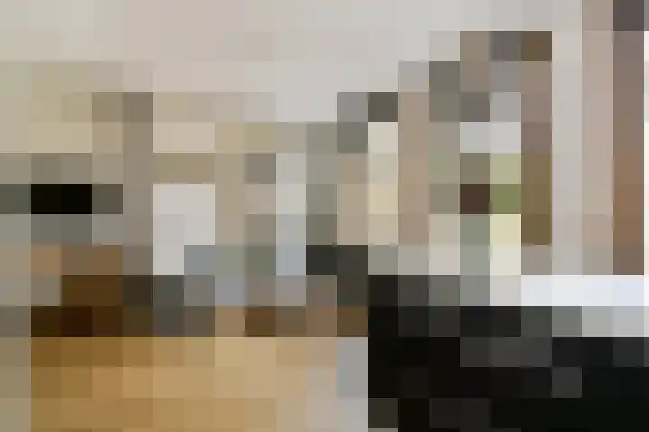 De Wittenkade 39 2V Amsterdam thumbnail 9