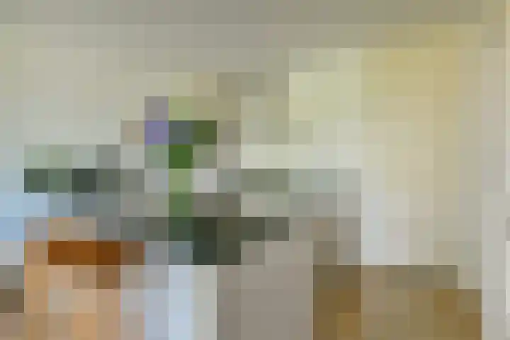 De Wittenkade 43 H Amsterdam thumbnail 10