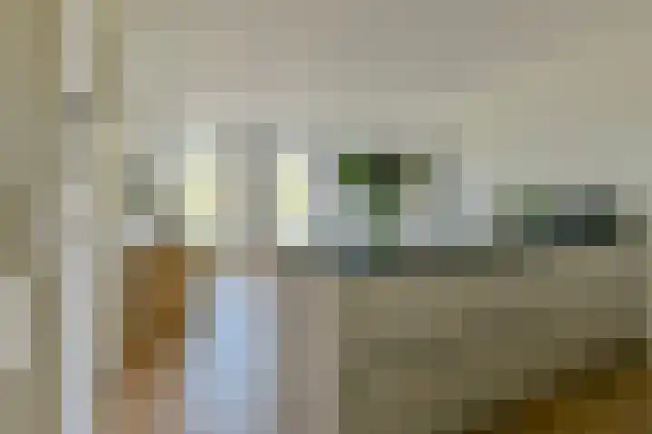 De Wittenkade 43 H Amsterdam thumbnail 13