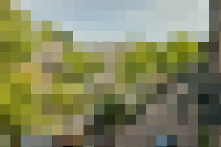 De Wittenkade 43 H Amsterdam thumbnail 16
