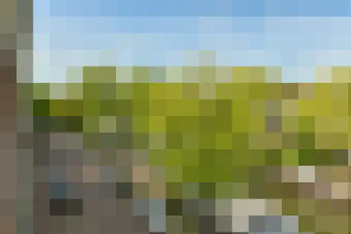De Wittenkade 43 H Amsterdam thumbnail 17
