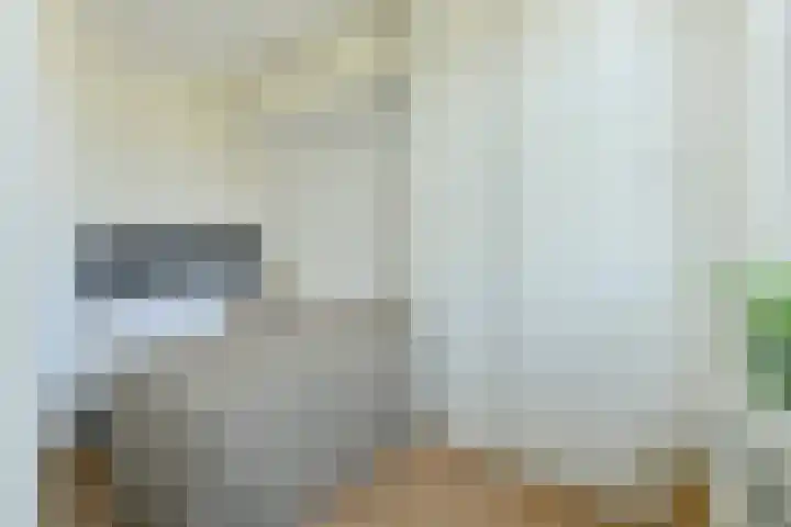 De Wittenkade 43 H Amsterdam thumbnail 19