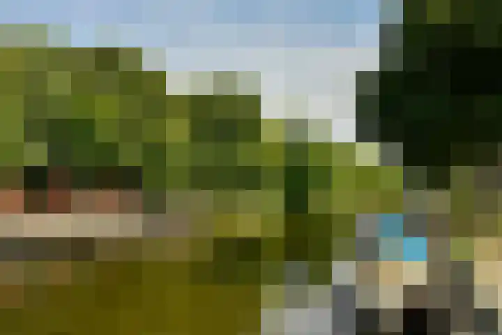 De Wittenkade 43 H Amsterdam thumbnail 21