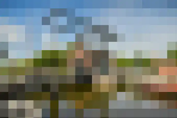 De Wittenkade 43 H Amsterdam thumbnail 22