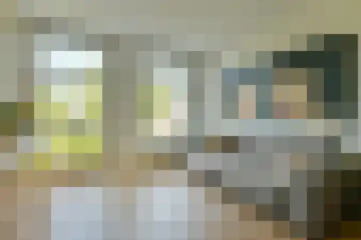 De Wittenkade 43 H Amsterdam thumbnail 26