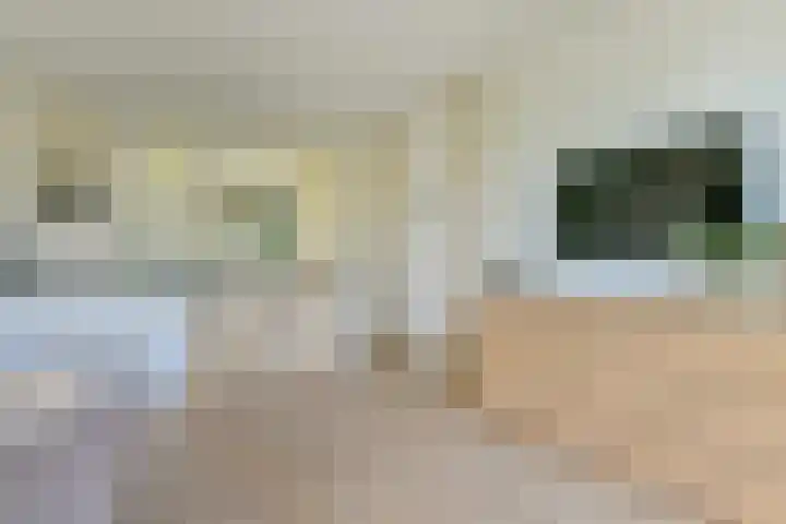 De Wittenkade 43 H Amsterdam thumbnail 8