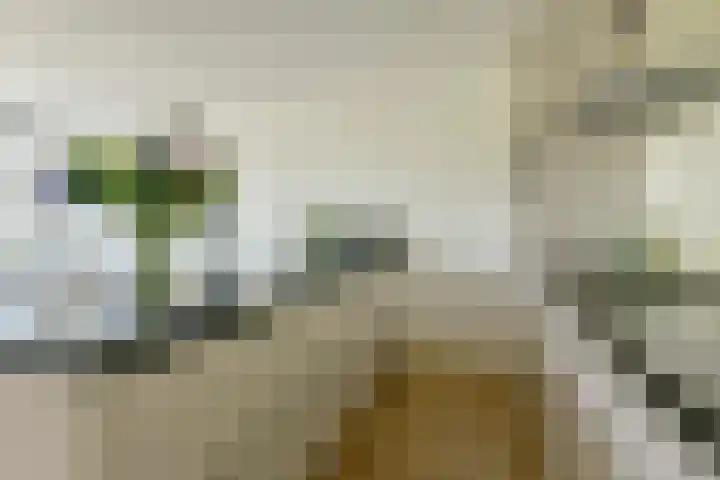 De Wittenkade 43 H Amsterdam thumbnail 9
