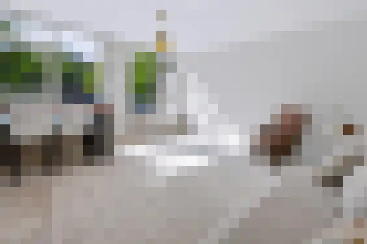 De Wittenkade 44 Amsterdam thumbnail 4