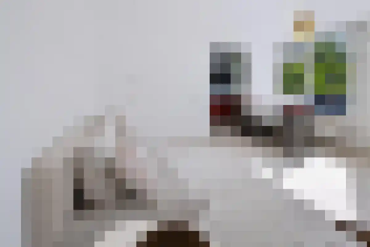 De Wittenkade 44 Amsterdam thumbnail 5