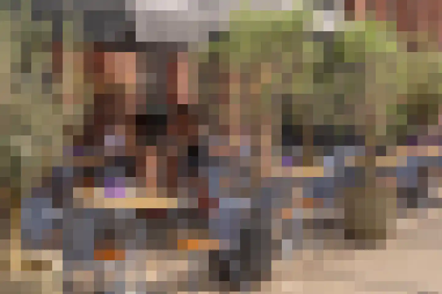 De Wittenkade 65 1 Amsterdam thumbnail 27