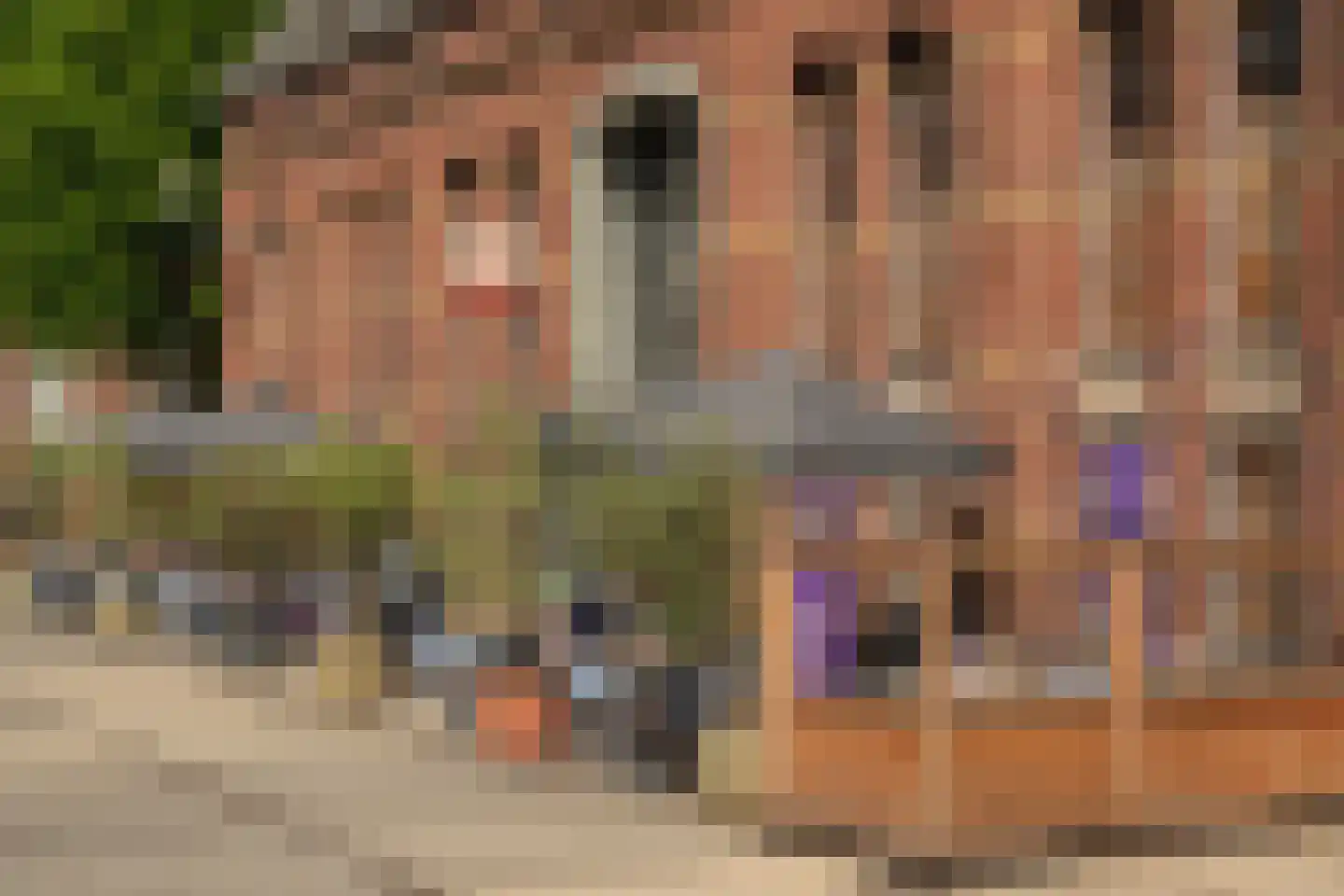De Wittenkade 65 1 Amsterdam thumbnail 28