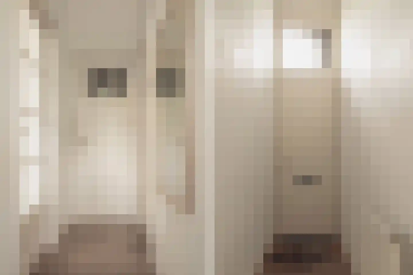 De Wittenkade 65 1 Amsterdam thumbnail 5