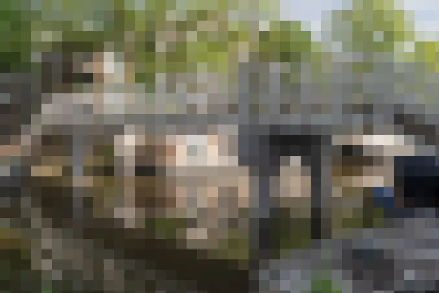 De Wittenkade 65 2 Amsterdam thumbnail 23