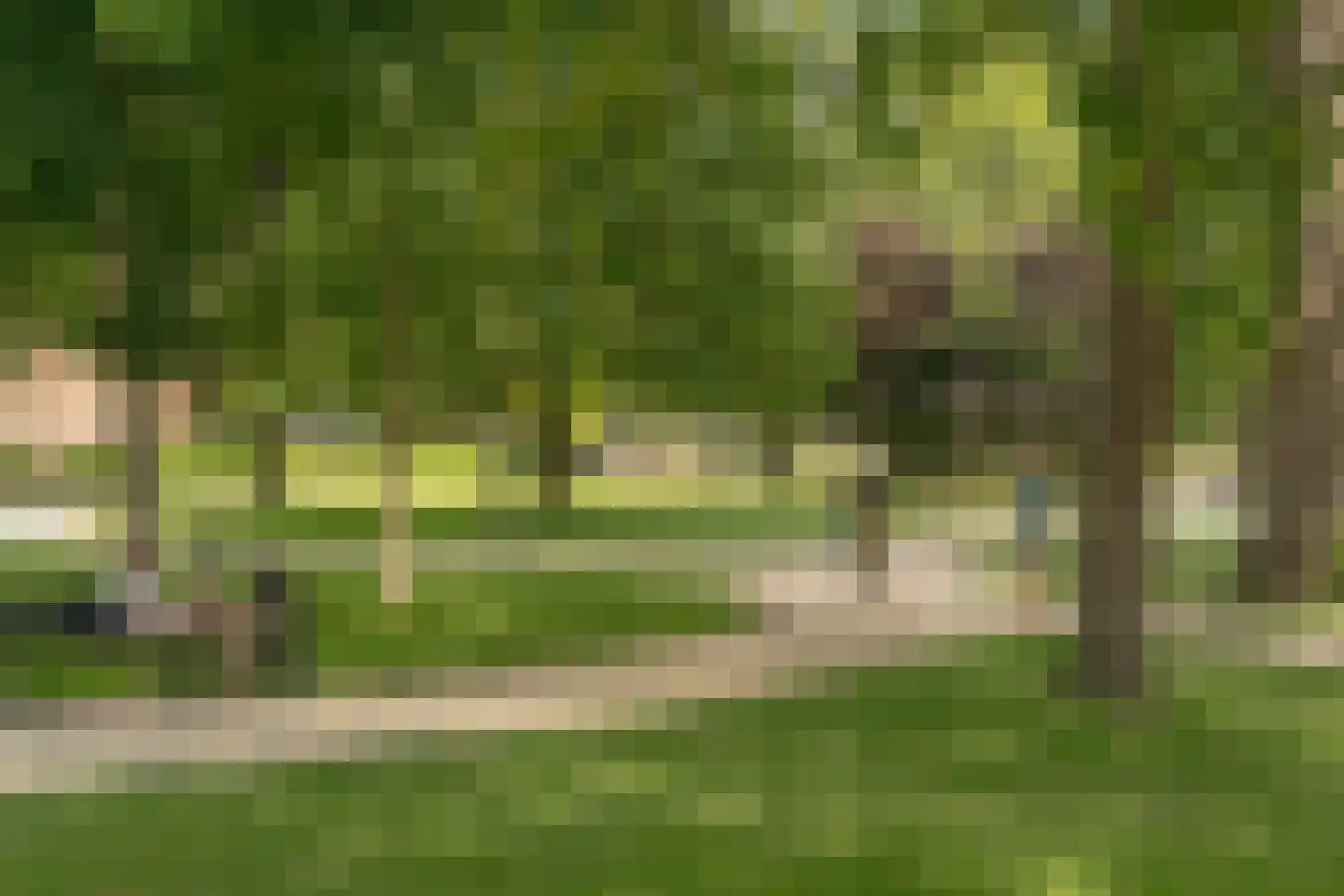 De Wittenkade 65 2 Amsterdam thumbnail 24