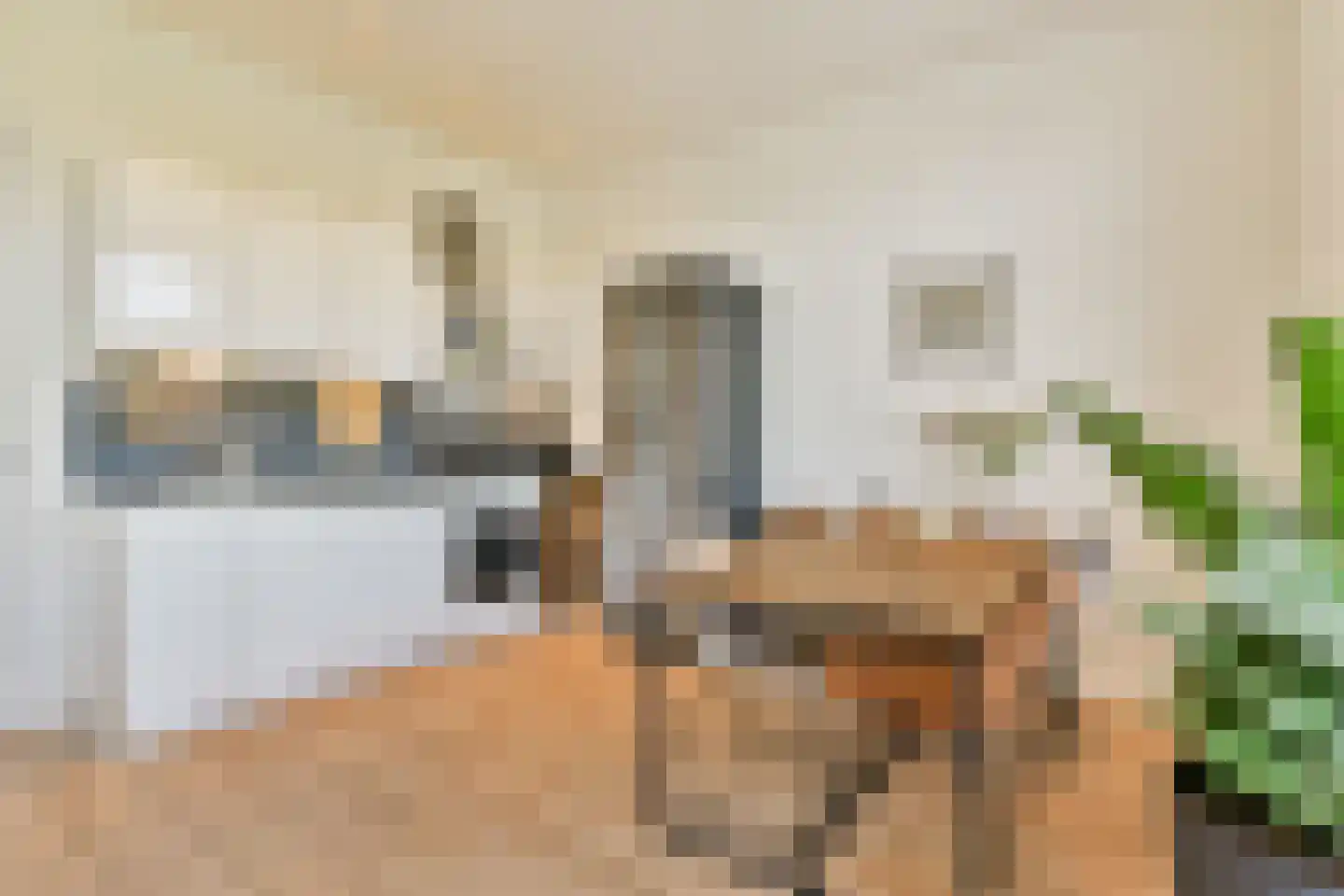 De Wittenkade 67 3 Amsterdam thumbnail 11