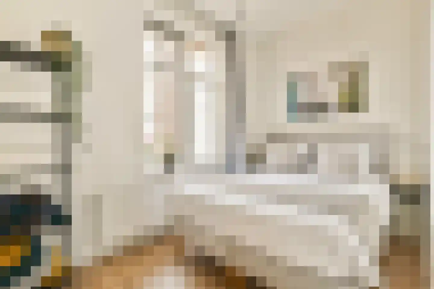 De Wittenkade 67 3 Amsterdam thumbnail 17