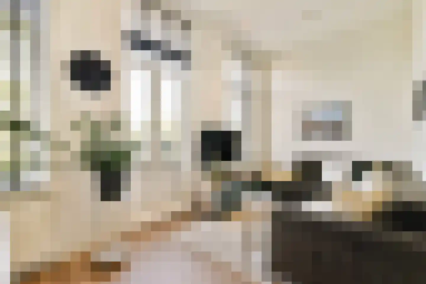 De Wittenkade 67 3 Amsterdam thumbnail 9