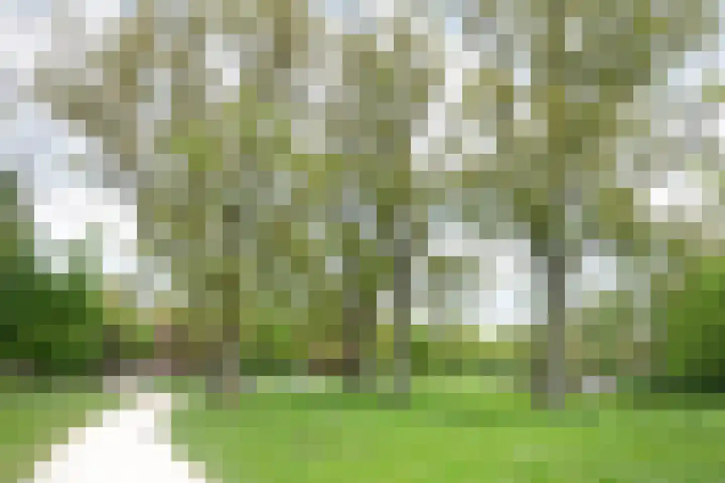 De Wittenkade 72 Amsterdam thumbnail 19