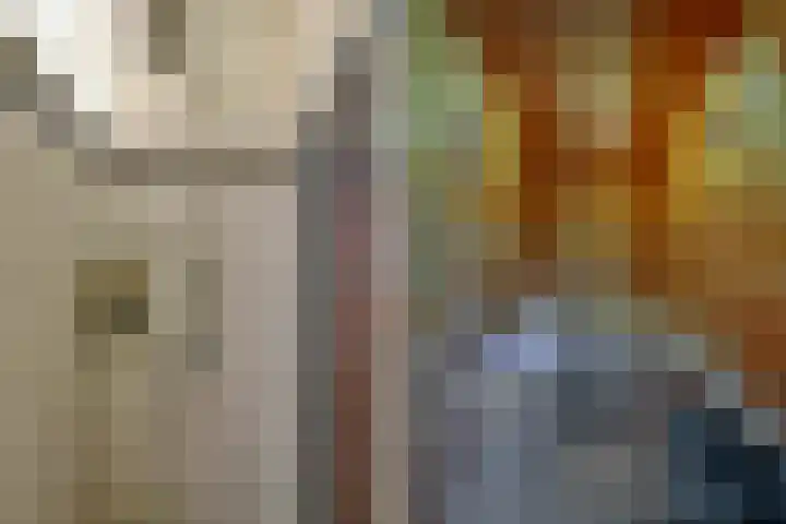 De Wittenkade 95 H Amsterdam thumbnail 32