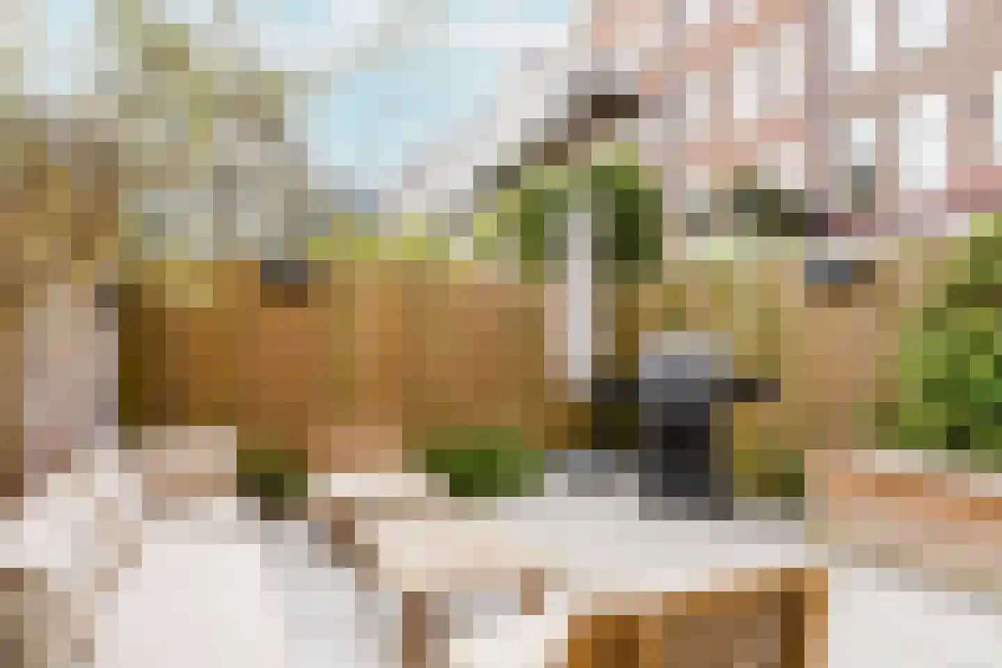 De Wittenstraat 49 3 Amsterdam thumbnail 18