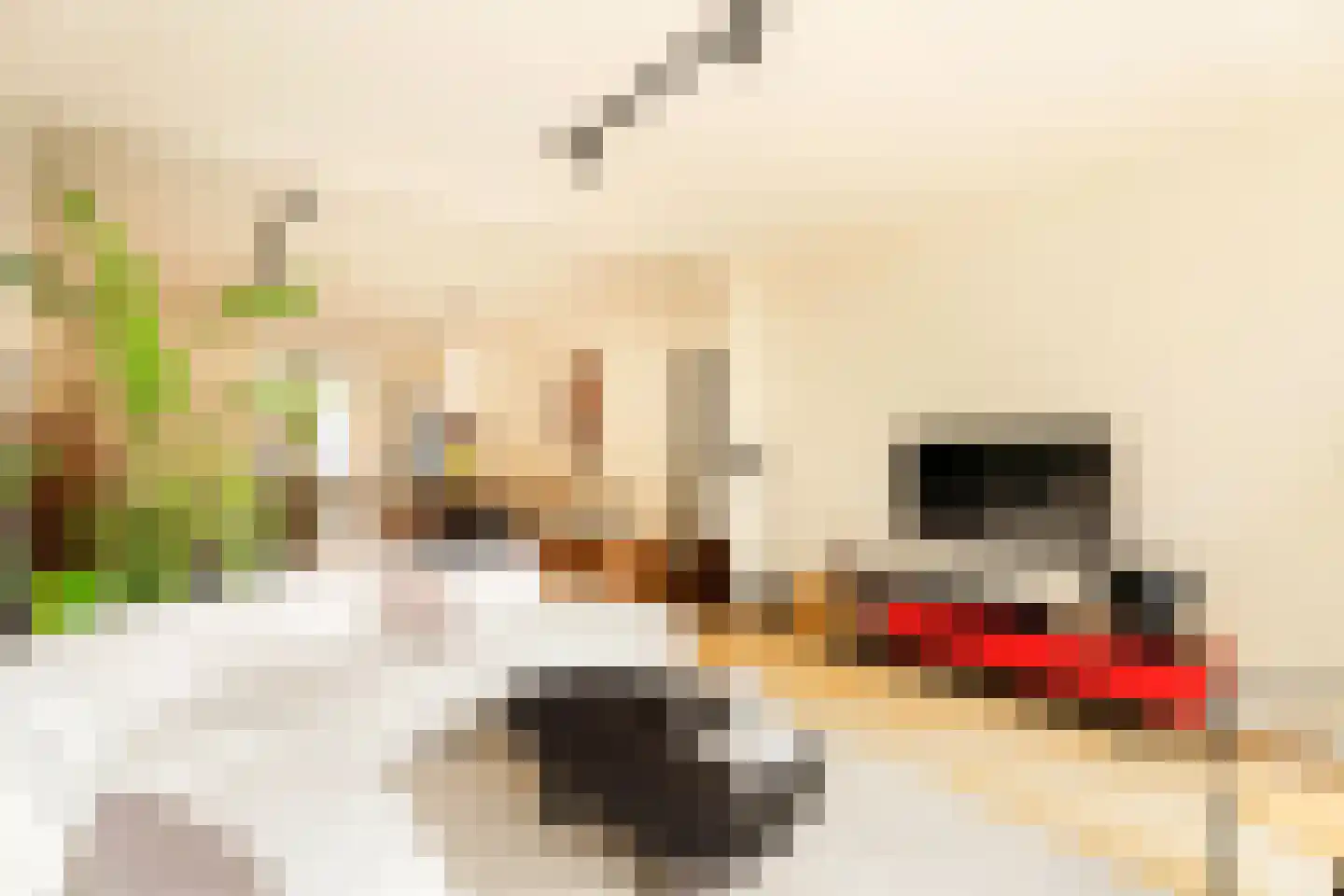 De Wittenstraat 49 3 Amsterdam thumbnail 22