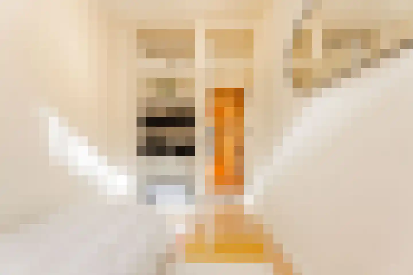 De Wittenstraat 49 3 Amsterdam thumbnail 32