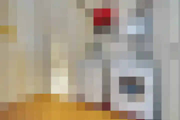 de Wittestraat 9 Zierikzee thumbnail 21