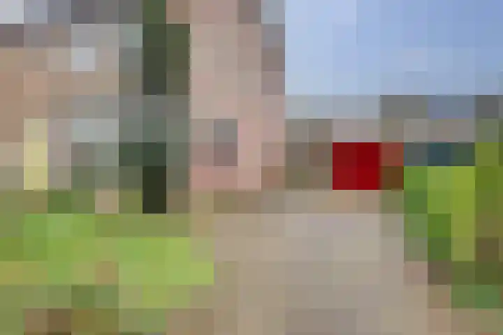 de Wittestraat 9 Zierikzee thumbnail 29