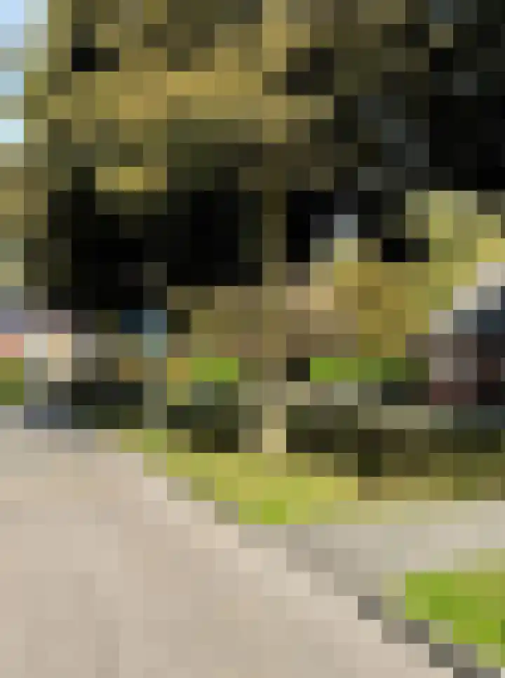 de Wittestraat 9 Zierikzee thumbnail 31
