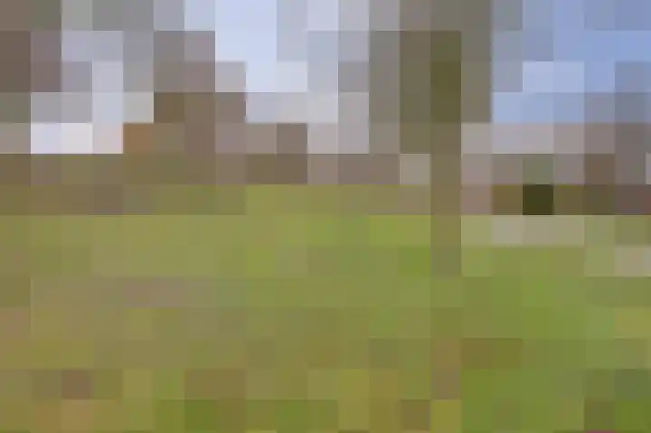 de Wittestraat 9 Zierikzee thumbnail 32