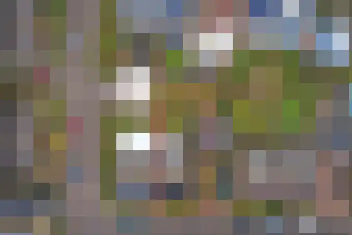 de Wittestraat 9 Zierikzee thumbnail 35