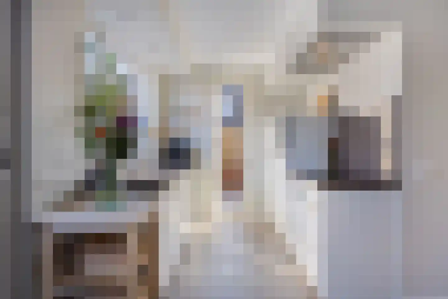 De Wittlaan 9 Vlijmen thumbnail 11