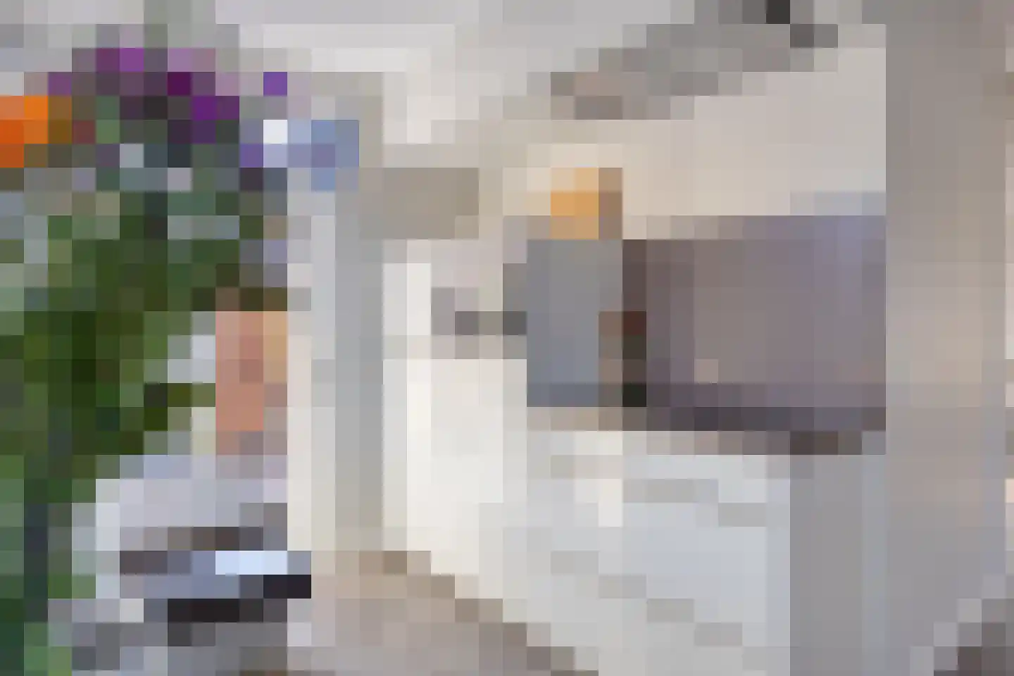 De Wittlaan 9 Vlijmen thumbnail 12
