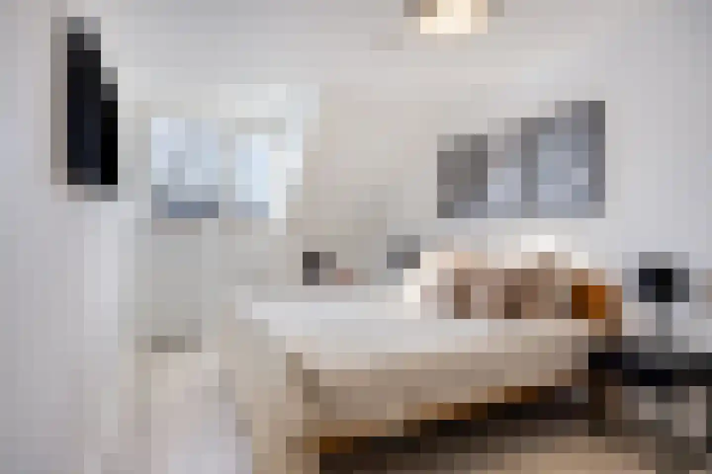 De Wittlaan 9 Vlijmen thumbnail 18
