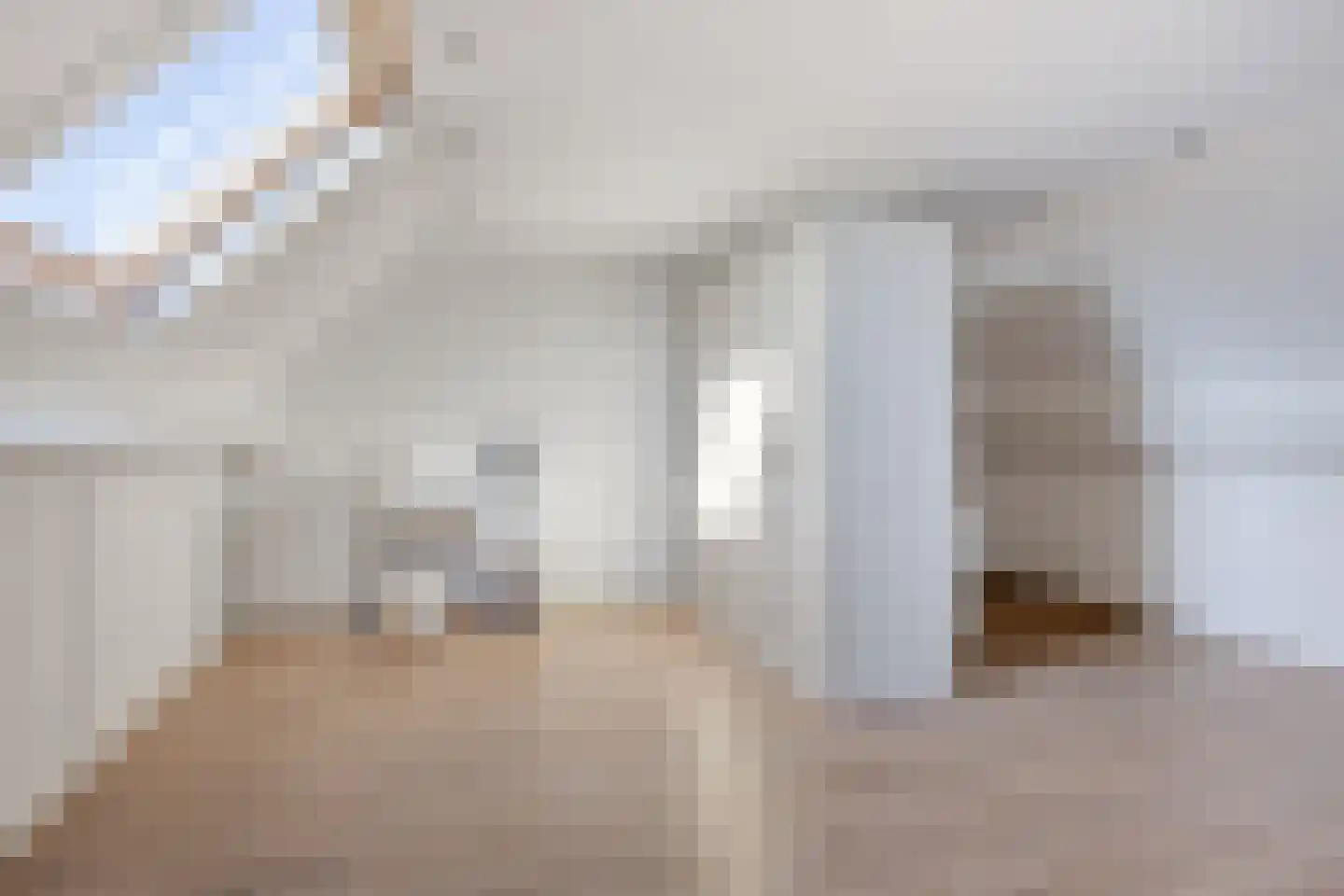 De Wittlaan 9 Vlijmen thumbnail 27