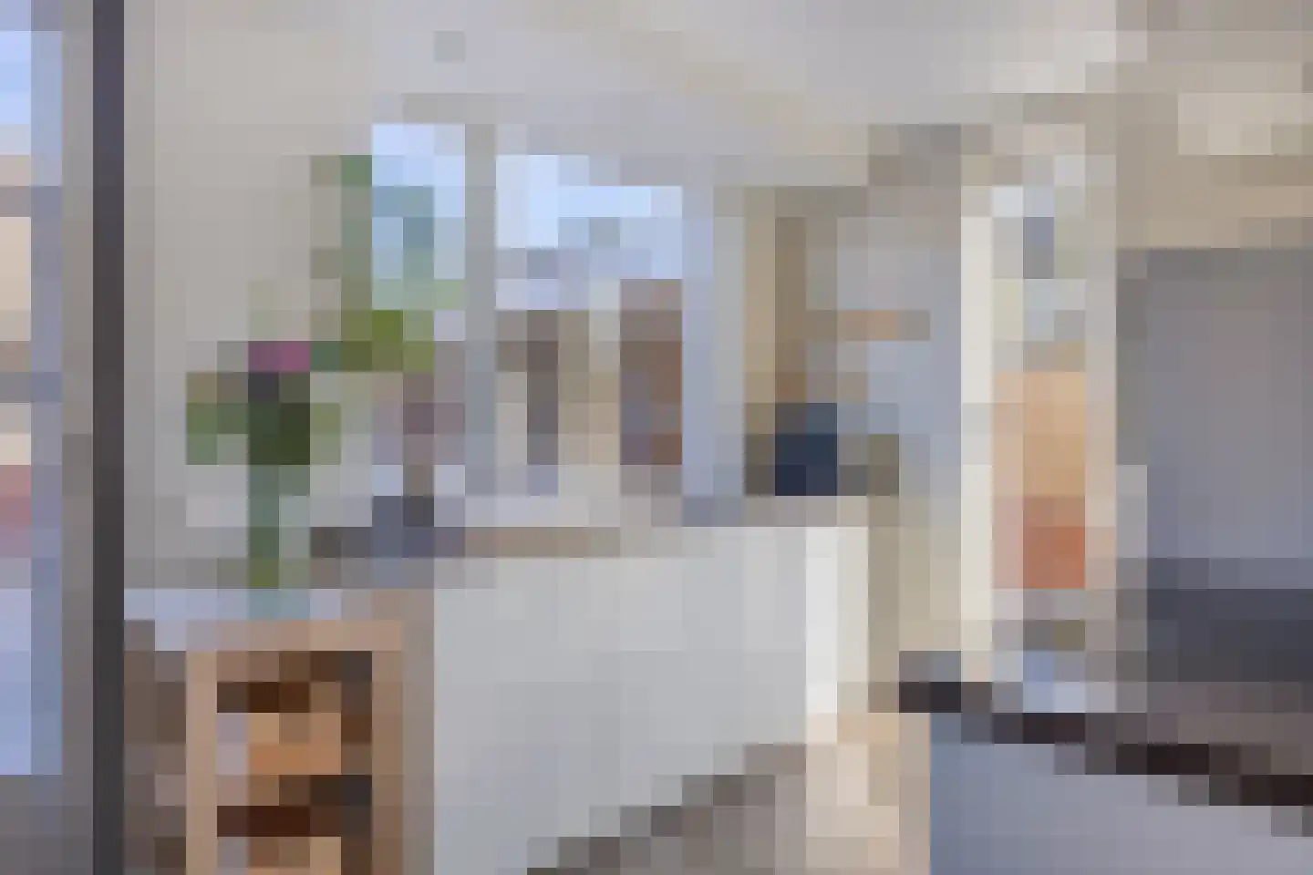 De Wittlaan 9 Vlijmen foto 3