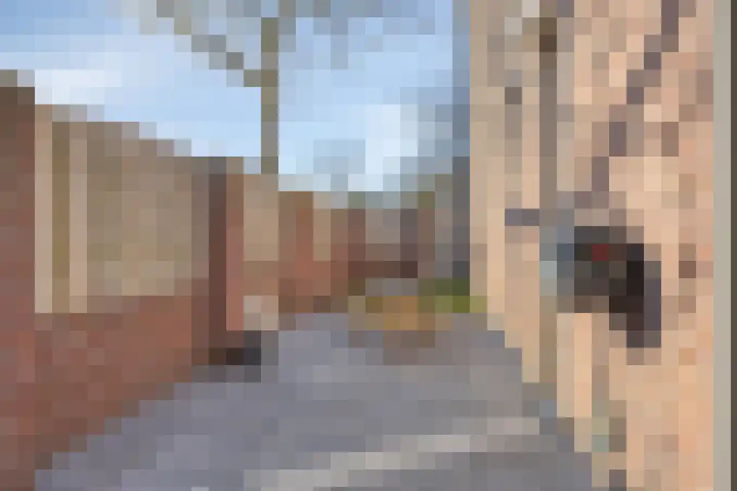 De Wittlaan 9 Vlijmen thumbnail 32