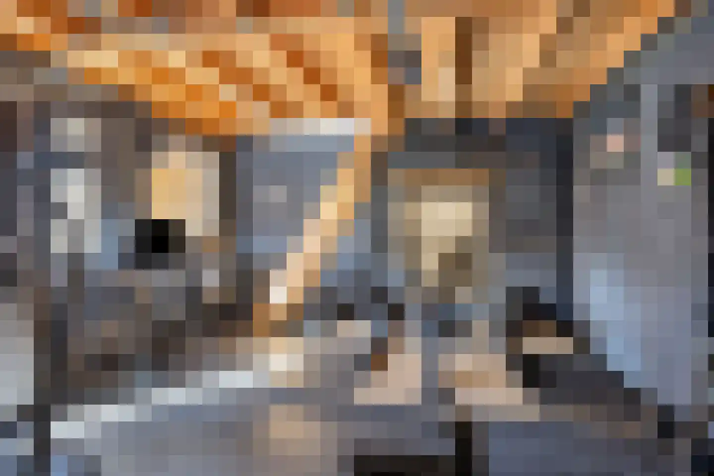 De Wittlaan 9 Vlijmen thumbnail 33