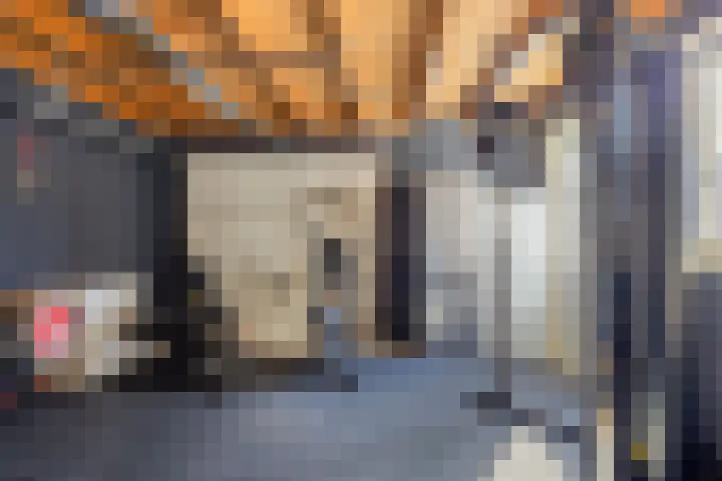 De Wittlaan 9 Vlijmen thumbnail 34