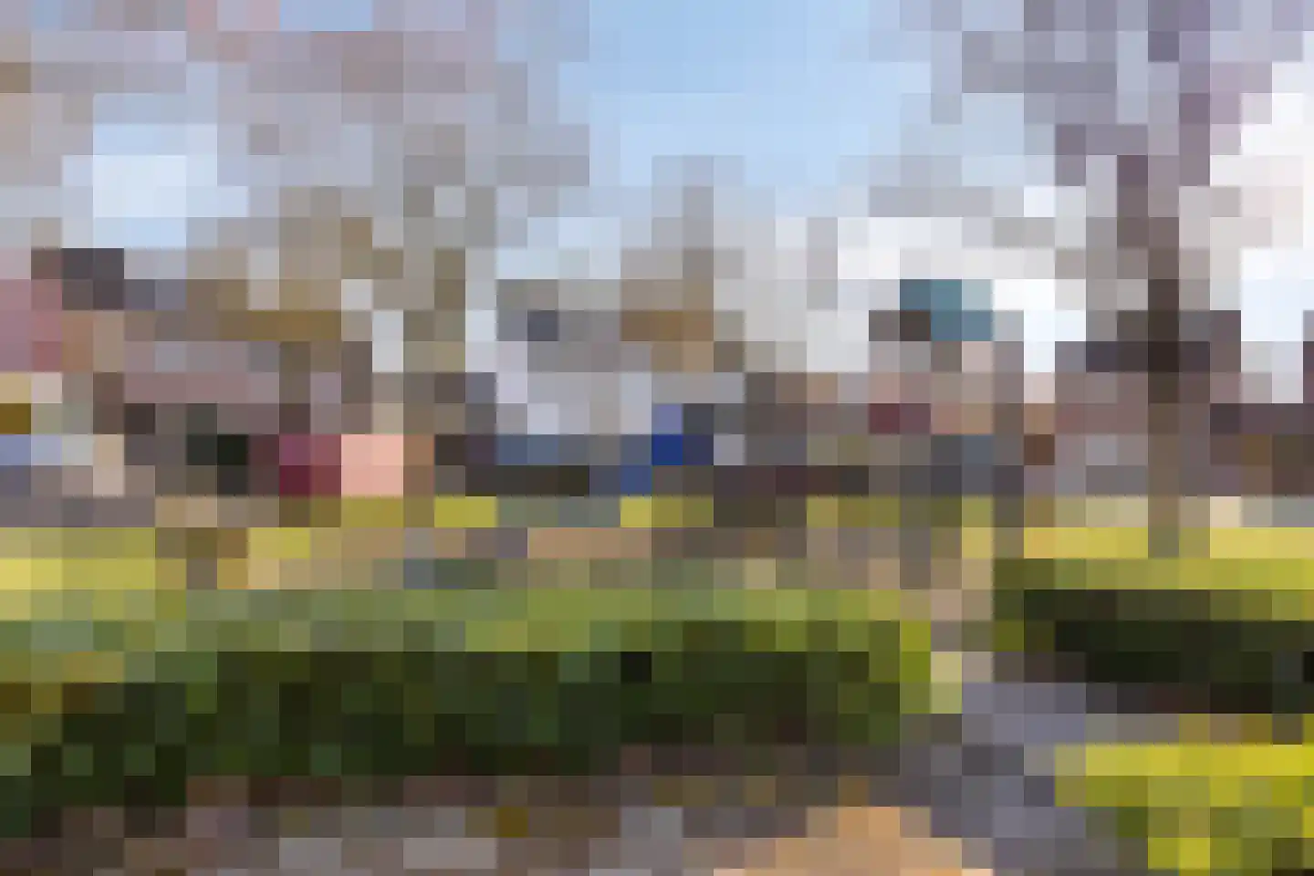 De Wittlaan 9 Vlijmen thumbnail 42