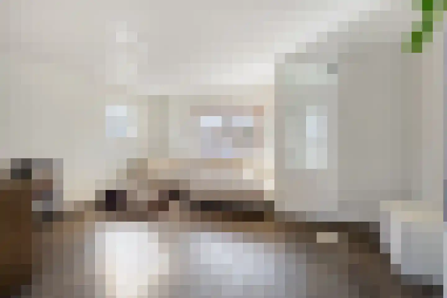 De Wittlaan 9 Vlijmen thumbnail 7