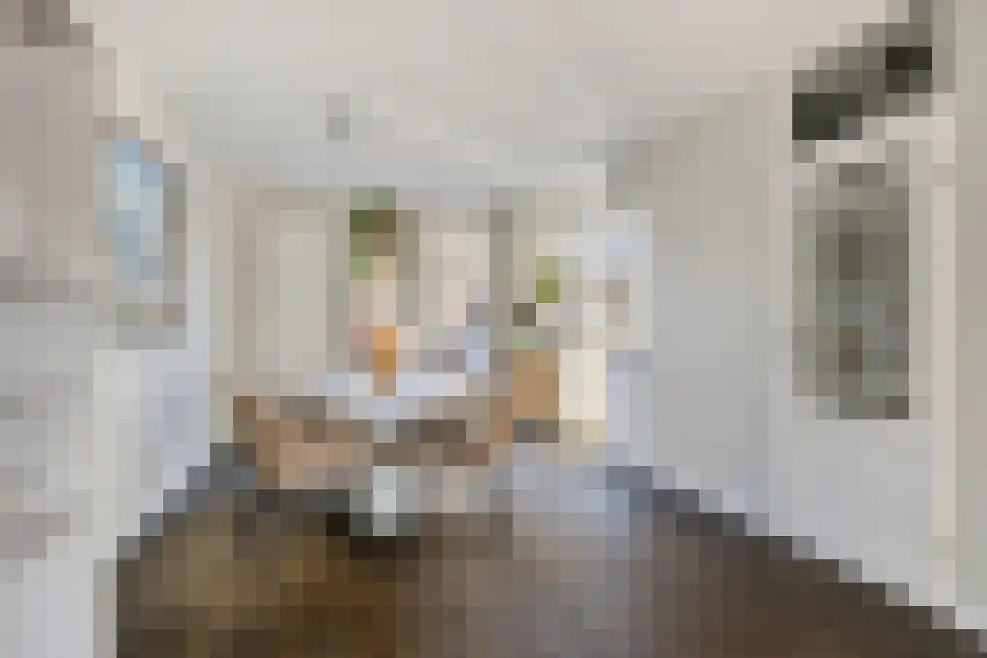 De Wittlaan 9 Vlijmen thumbnail 9