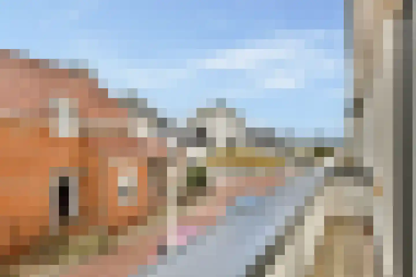 de Wittstraat 9 Zandvoort thumbnail 29
