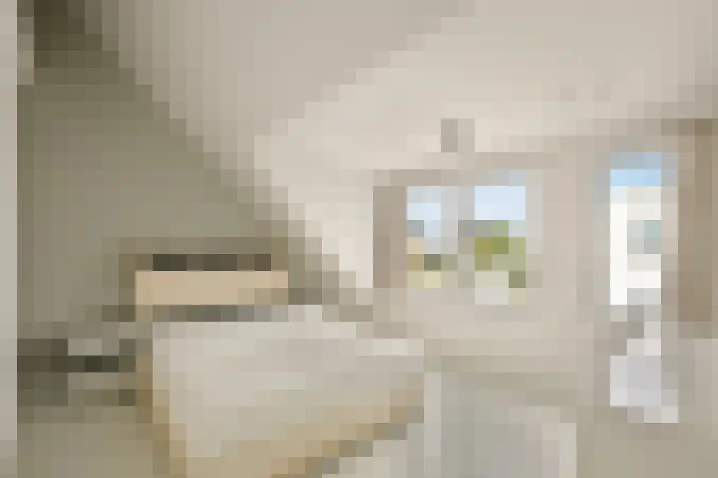 de Wittstraat 9 Zandvoort thumbnail 39