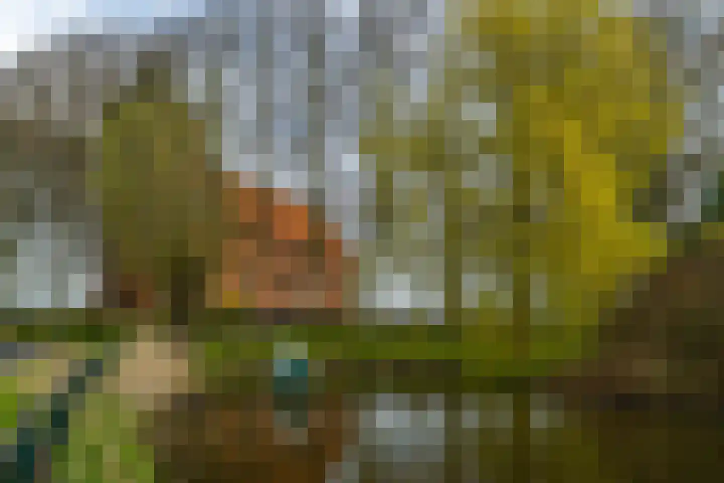 de Woarven 33 Westergeast thumbnail 43